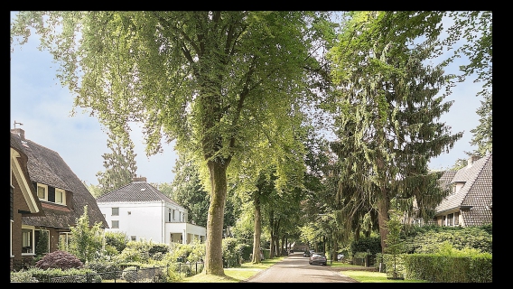 Wijk: Apeldoorn West