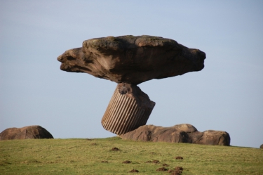 Makelaar in Dalfsen